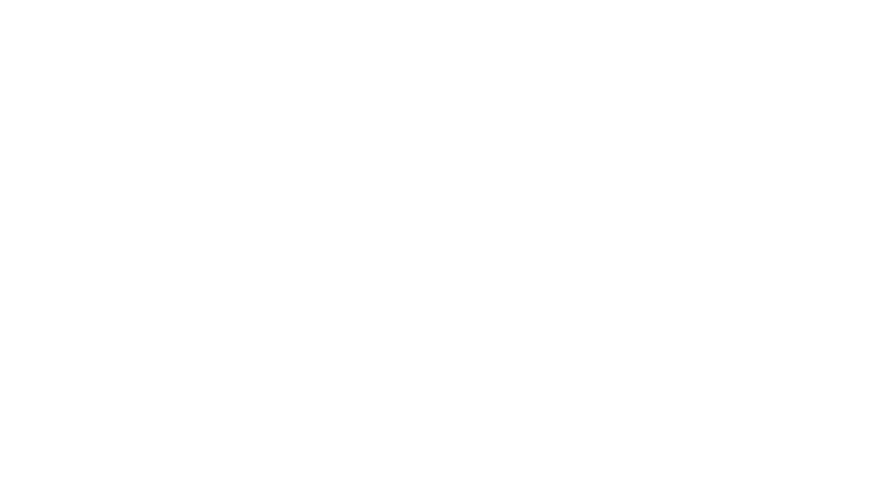 ADS 아델슨 logo